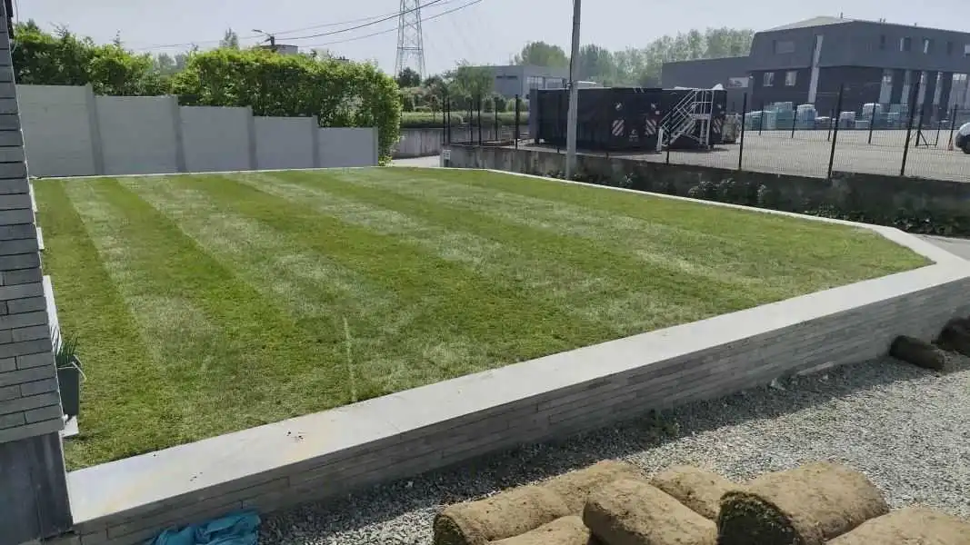 h_Aanleg grasmatten Temse Aanleg grasmatten Temse